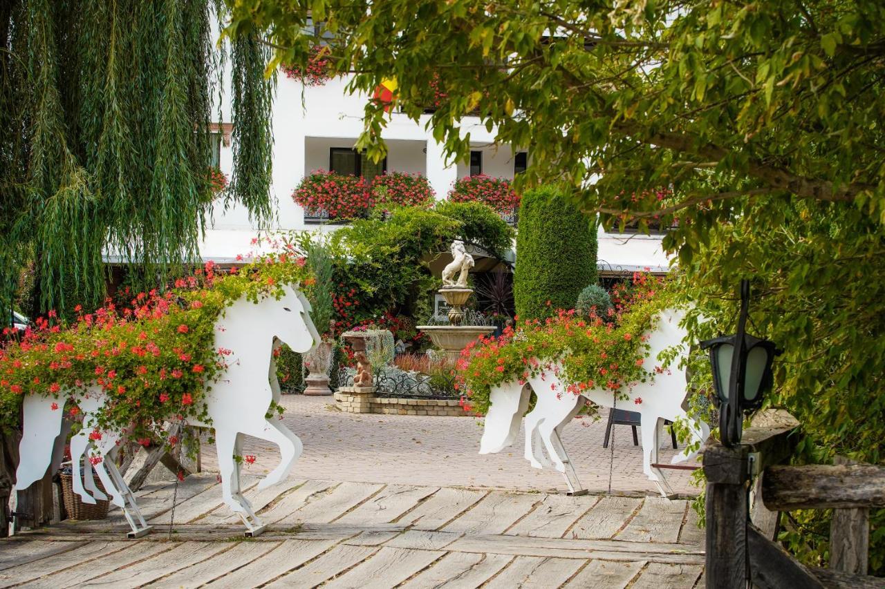 Domeniul Dracula Danes Hotel ภายนอก รูปภาพ